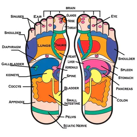 Acupressure and Magnetic Therapy Paduka Slippers For Men and Women